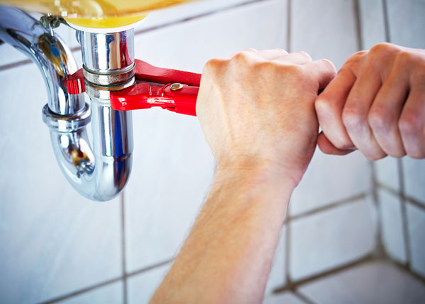 About Lively Plumbers